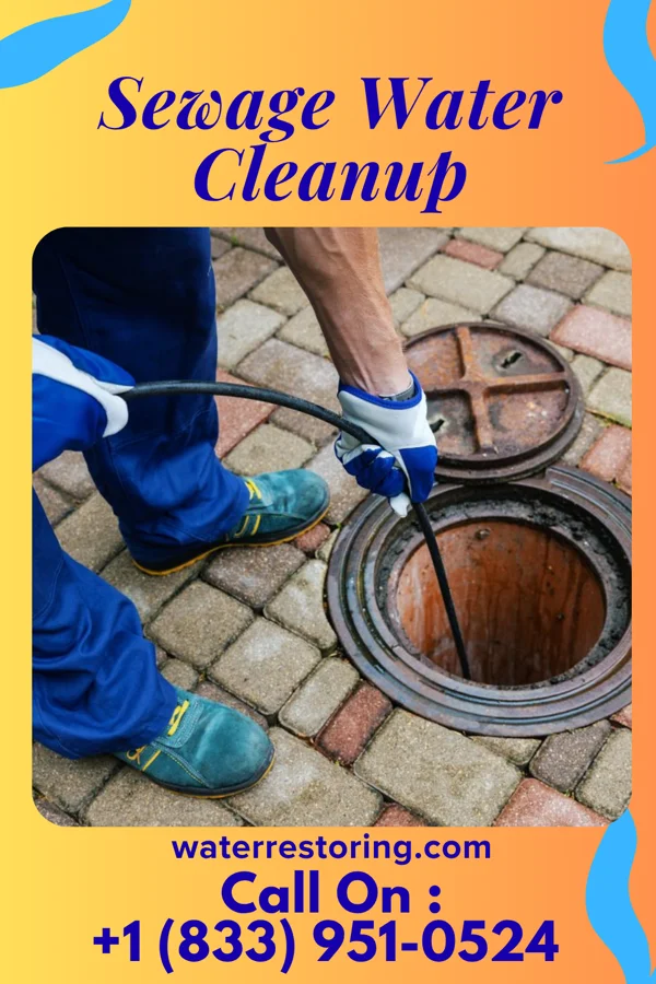 Sewage Water Cleanup in Godwin, NC