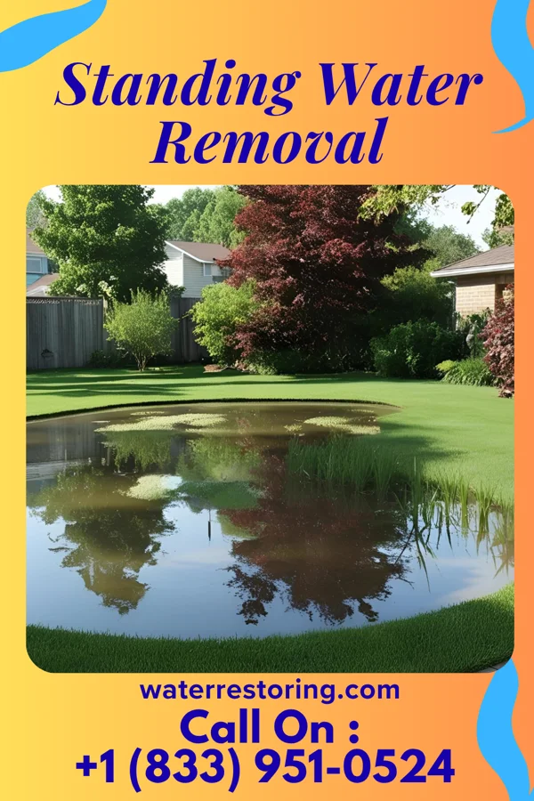 Standing Water Removal in Godwin, NC